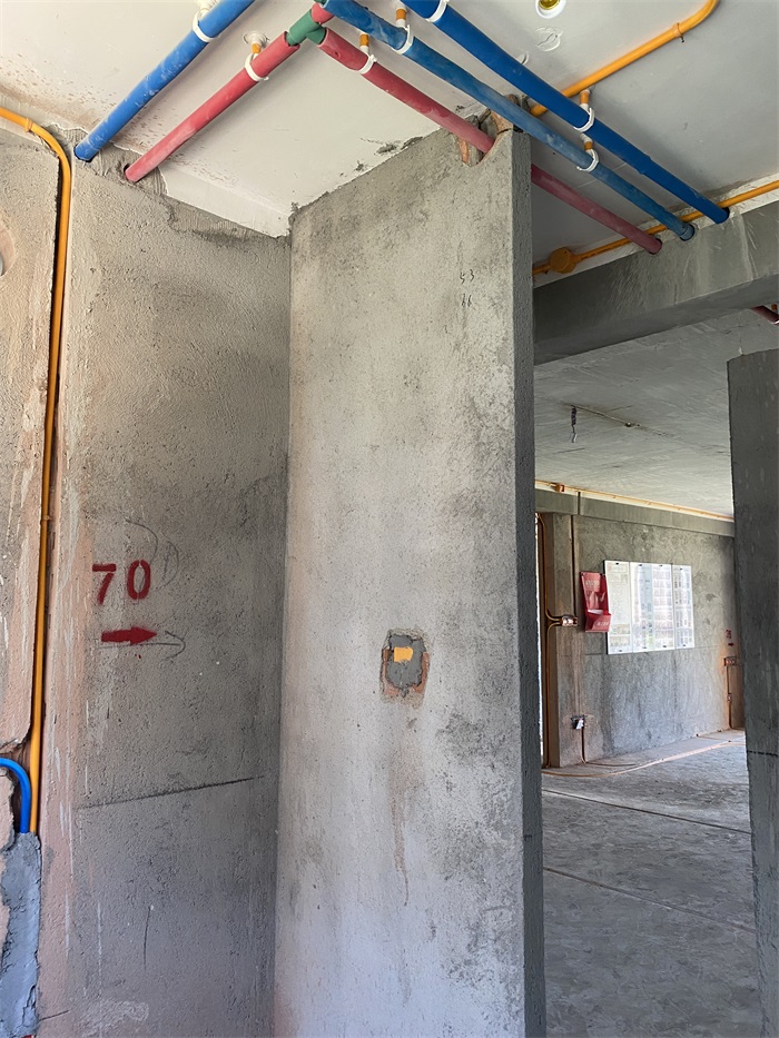 IMG_4321.JPG