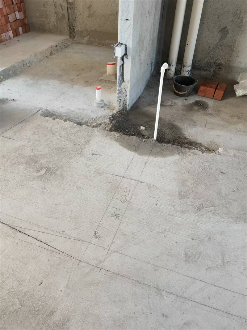 mmexport1724393378931.jpg