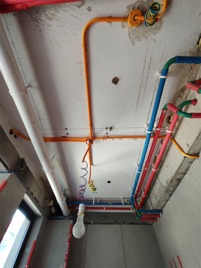 IMG_20240824_110918.jpg
