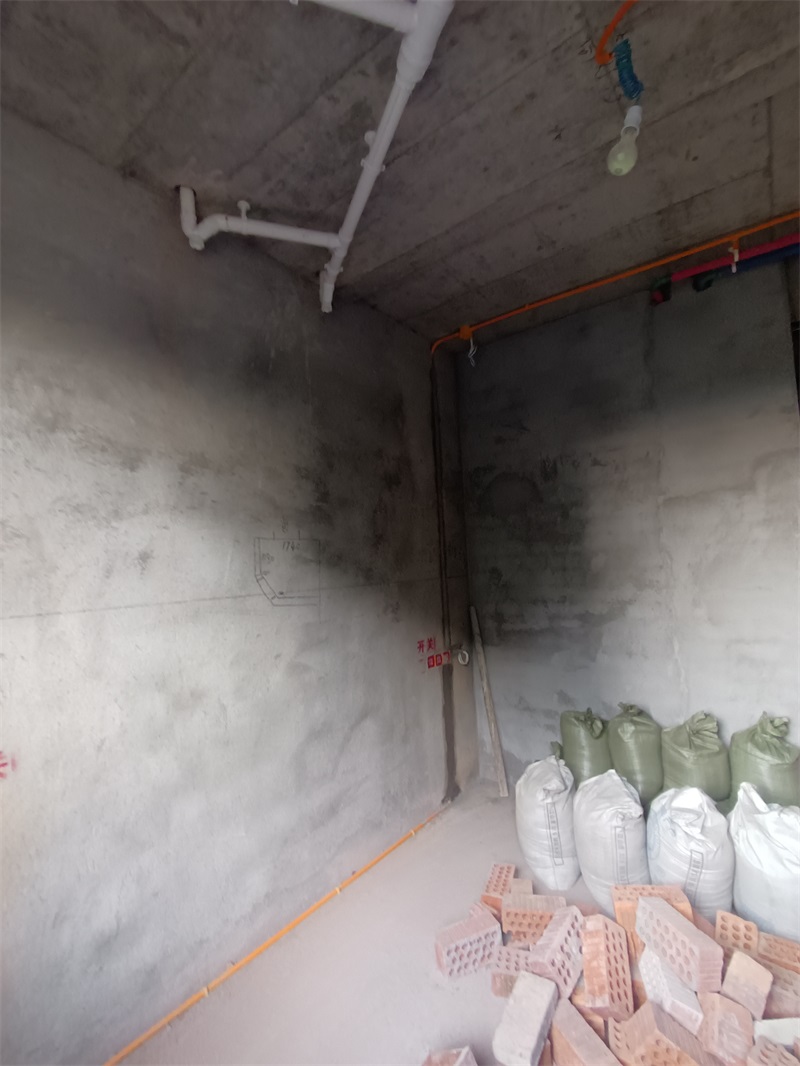 IMG_20240824_171750.jpg