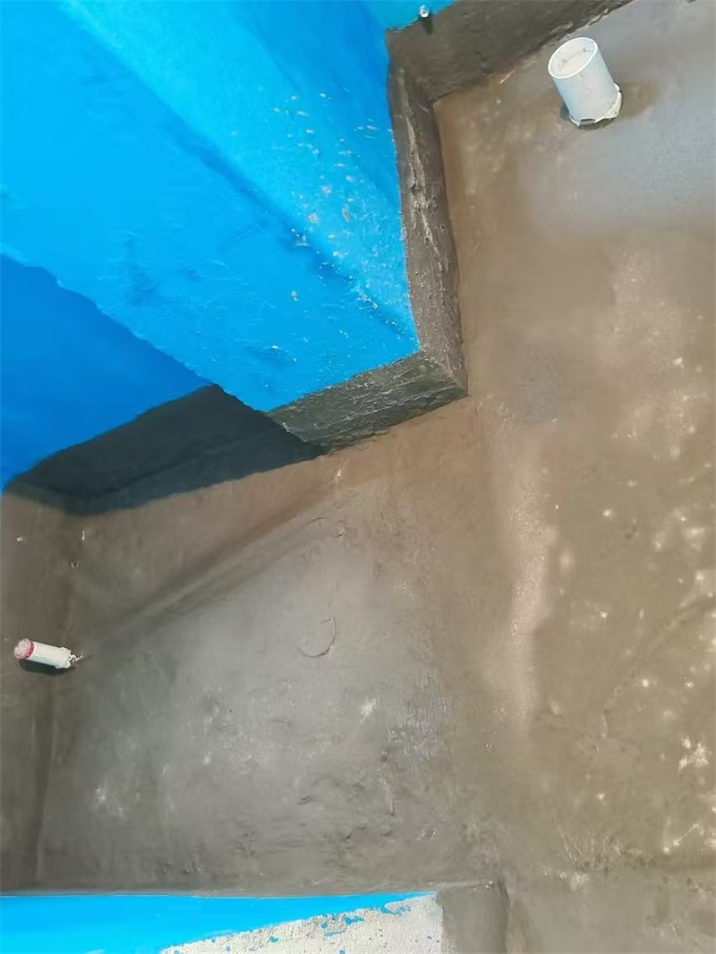 mmexport1724677008374.jpg