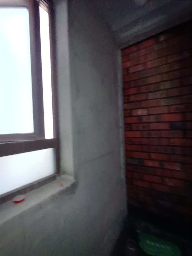 IMG_20240827_091254.jpg
