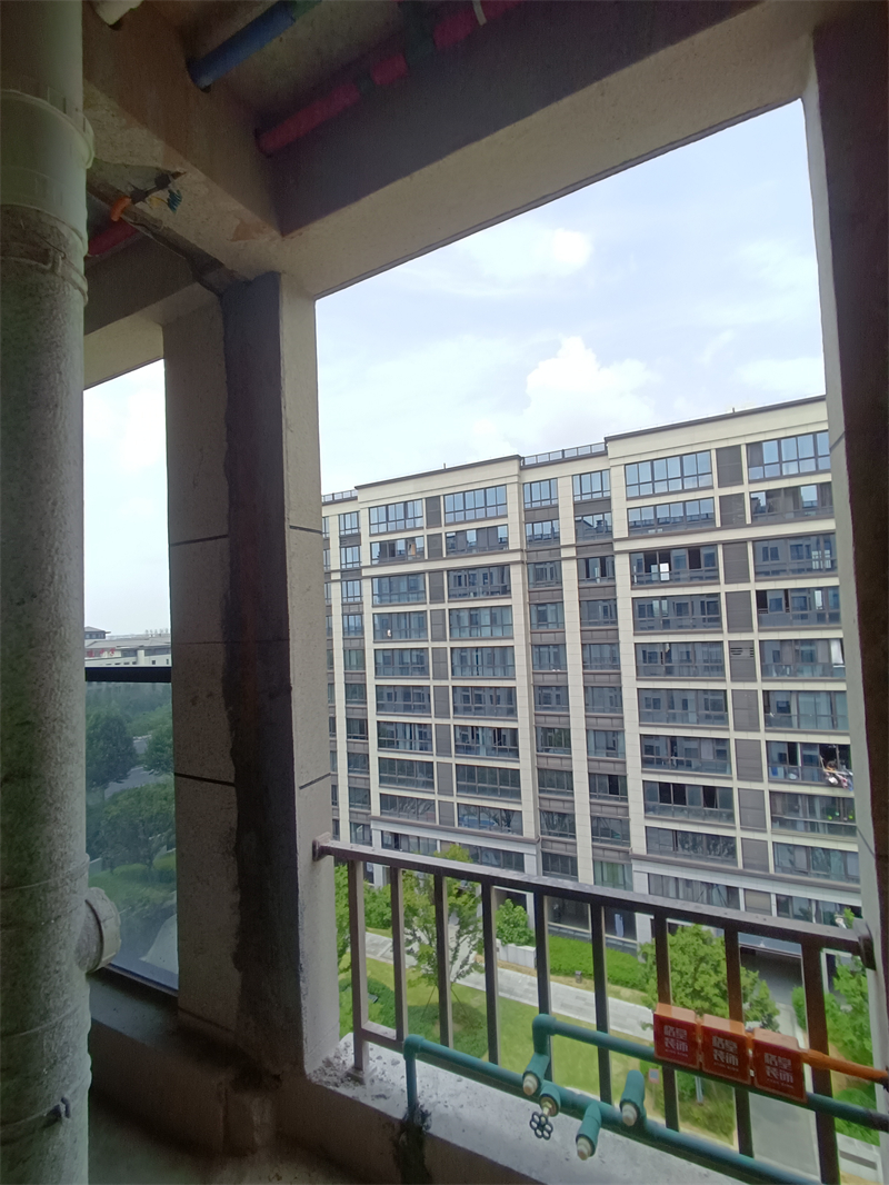 IMG_20240827_121804.jpg