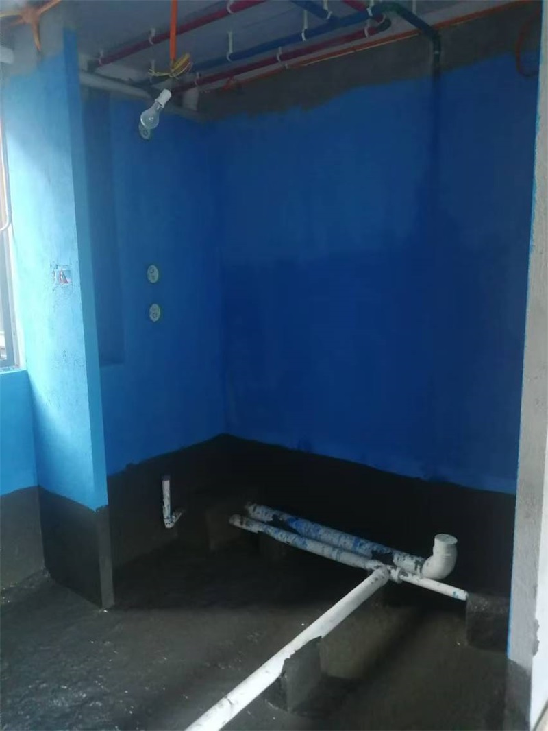 mmexport1724740943404.jpg