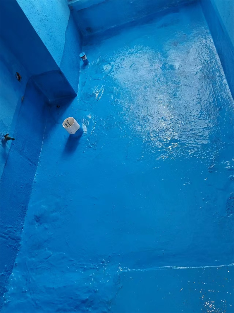 mmexport1724741036694.jpg