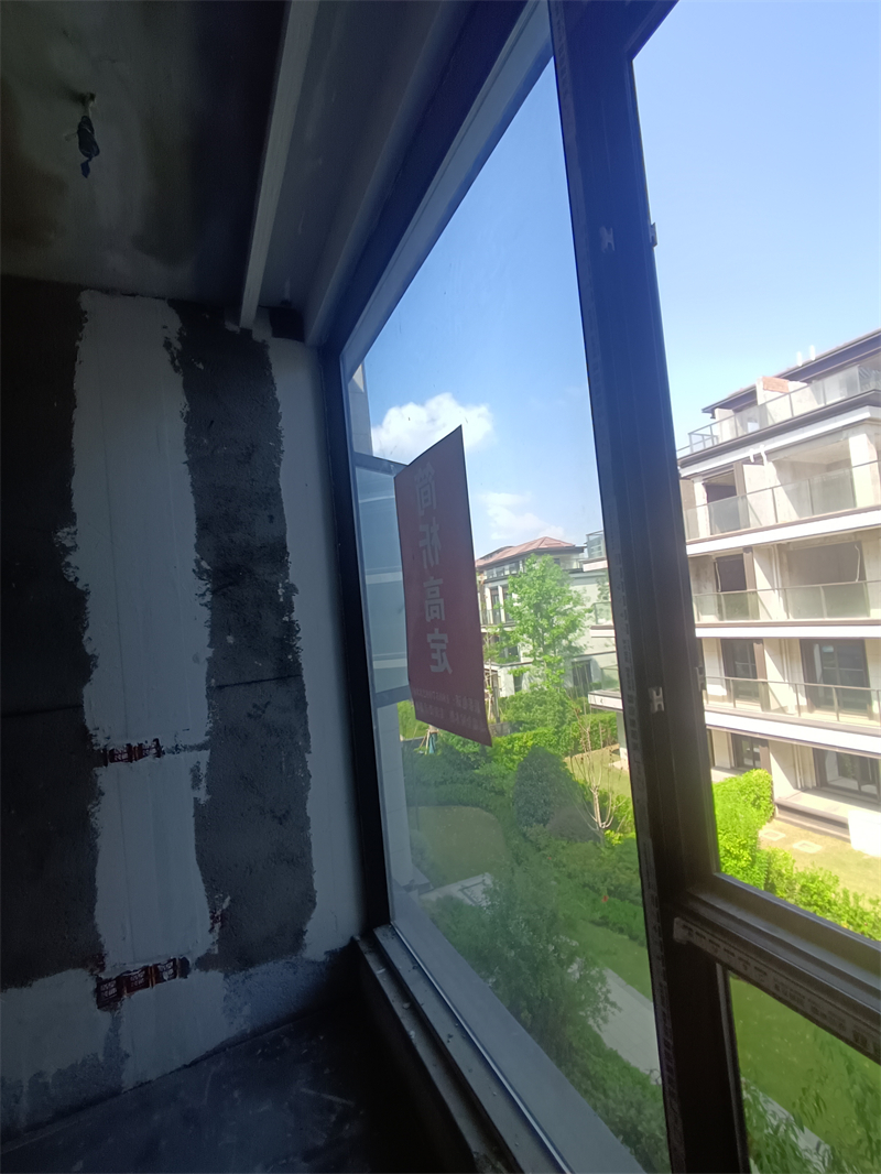 IMG_20240828_094416.jpg