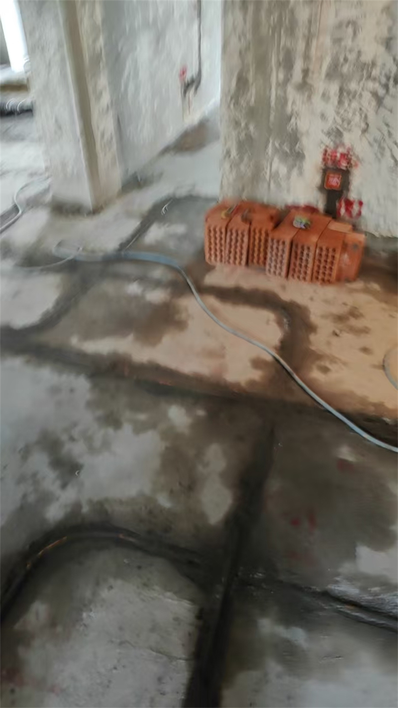 ΢��ͼƬ_20240830113607.jpg