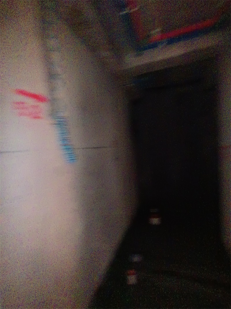 IMG_20240830_092929.jpg