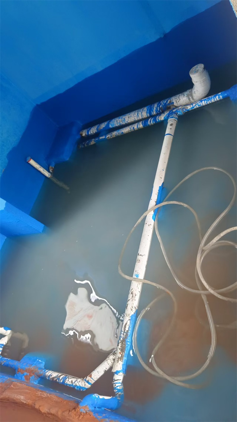 mmexport1725014232590.jpg