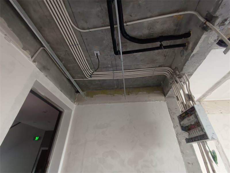 IMG_20240831_081904.jpg