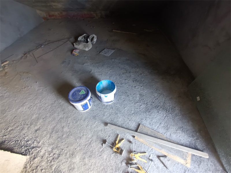 IMG_20240902_083058.jpg