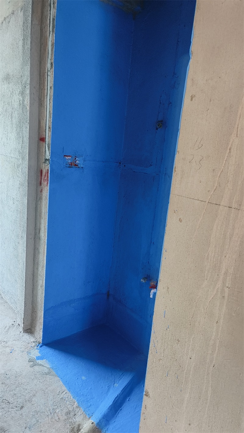 mmexport1725195278835.jpg