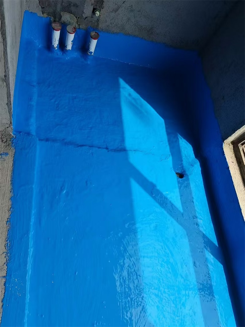 mmexport1725195353793.jpg