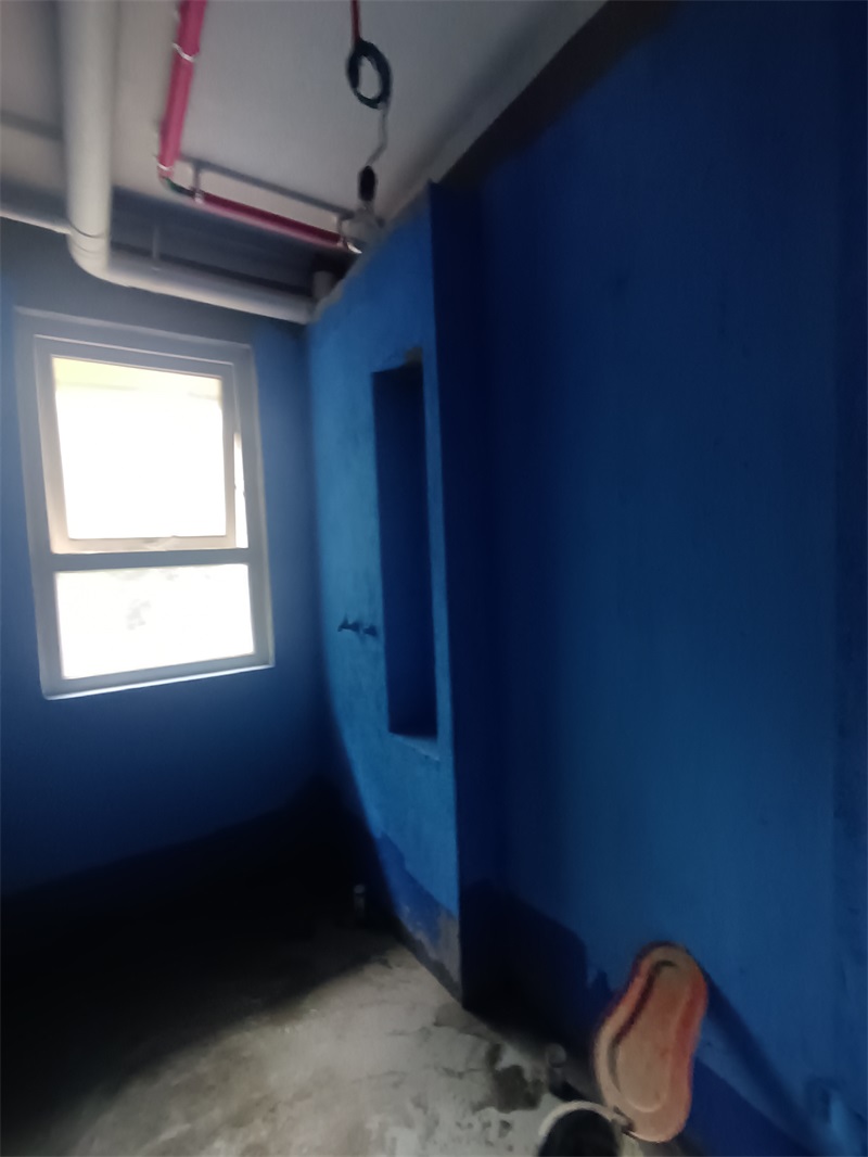 IMG_20240820_080725.jpg