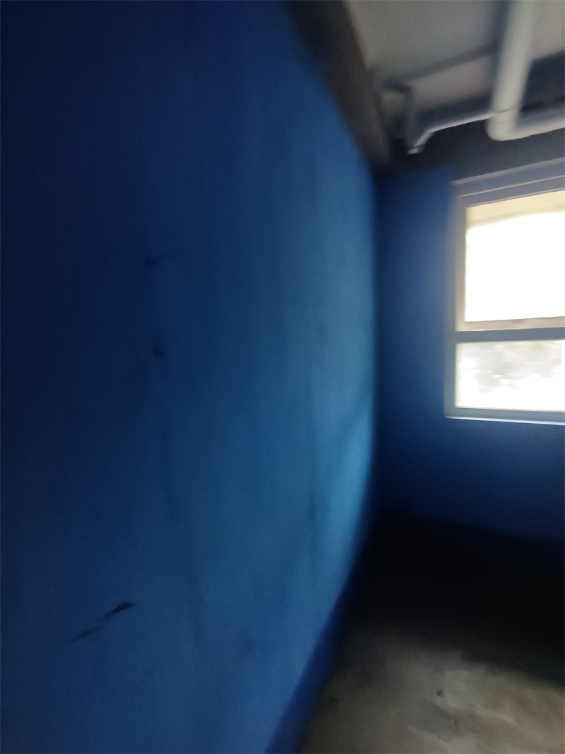 IMG_20240820_080723.jpg
