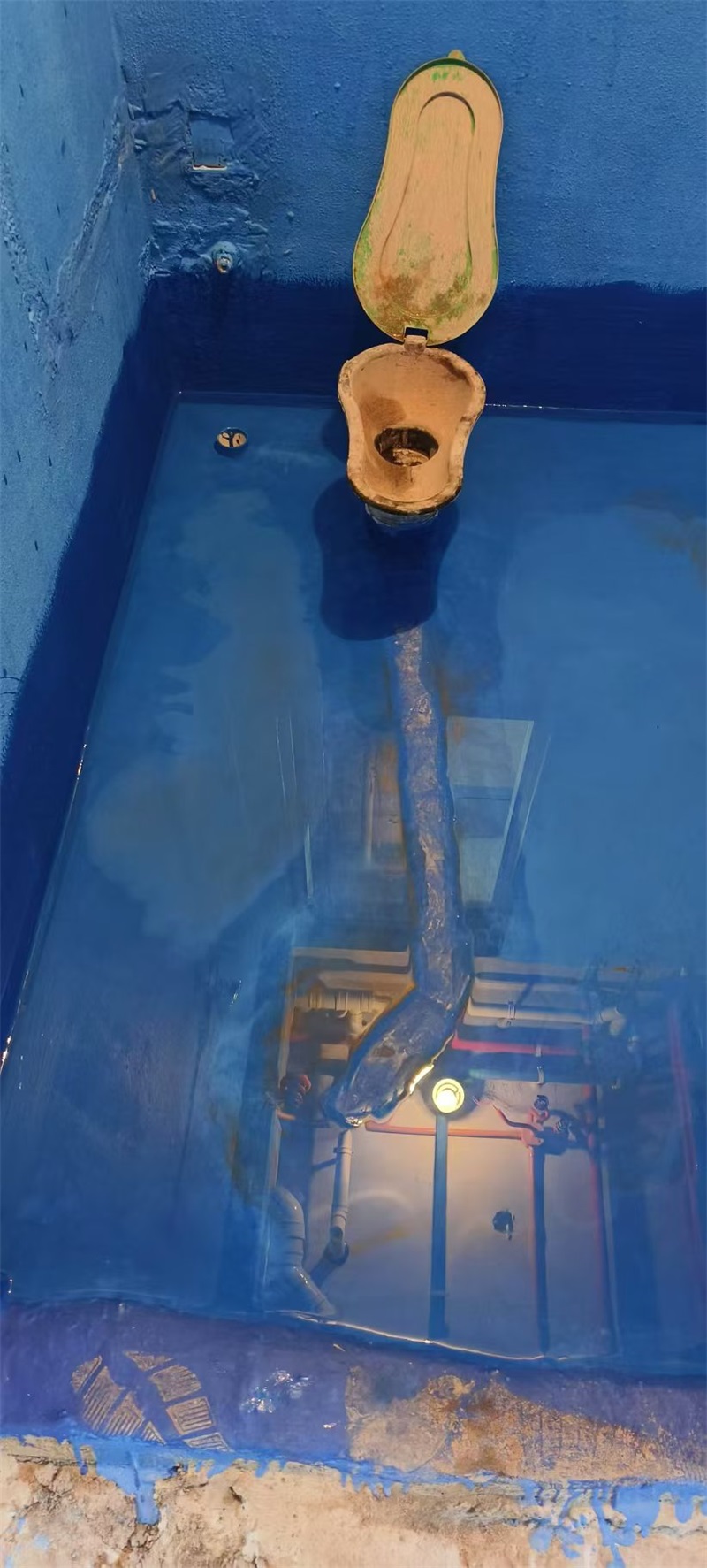 mmexport1725452067025.jpg