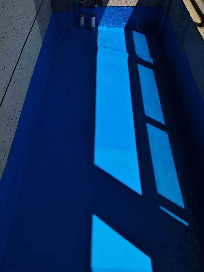 mmexport1725606398177.jpg