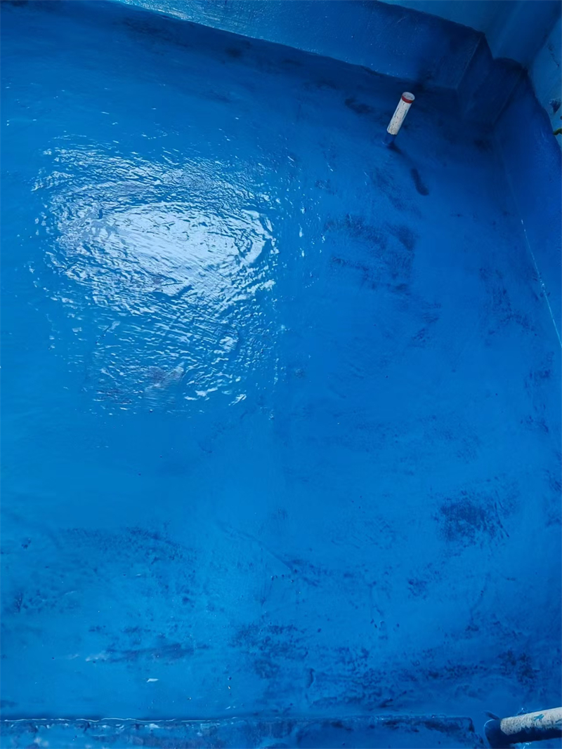 mmexport1725863368904.jpg