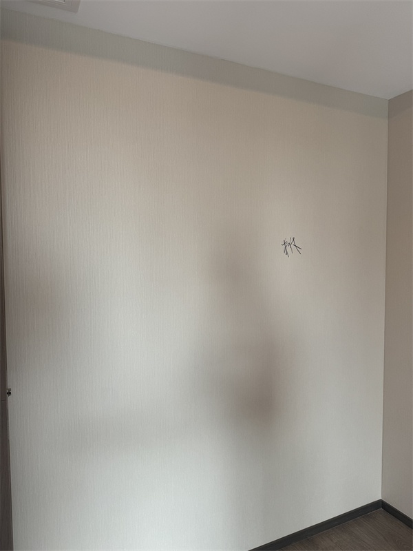 mmexport1725943786791.jpg