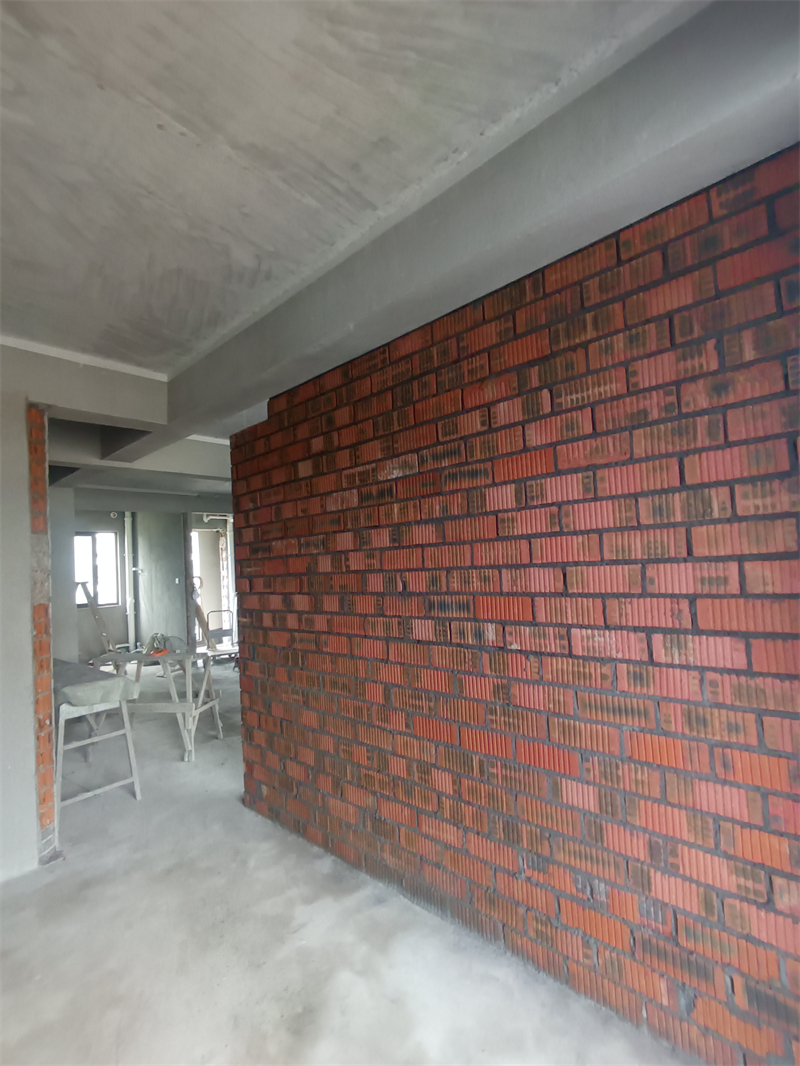 IMG_20240911_075847.jpg