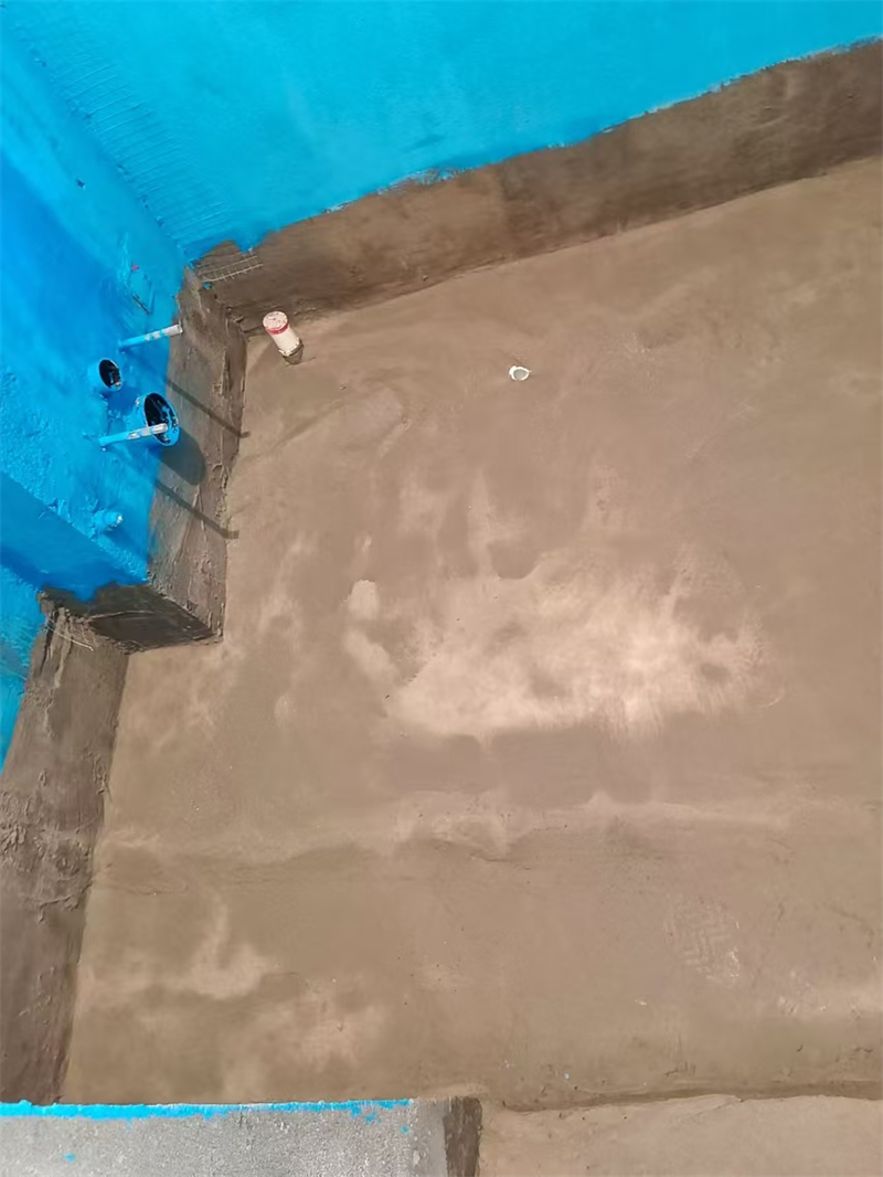 mmexport1726118334688.jpg