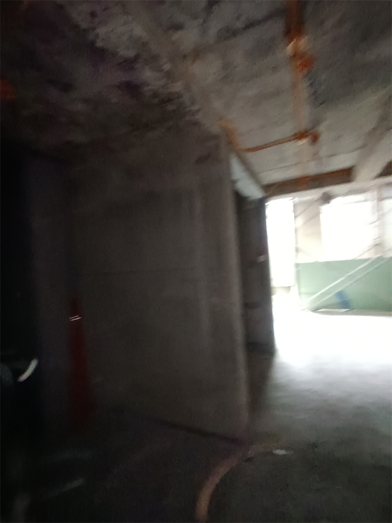 IMG_20240912_103451.jpg