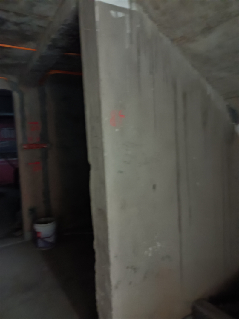 IMG_20240912_103427.jpg
