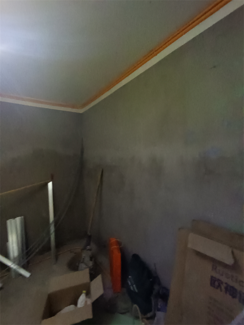 IMG_20240912_103831.jpg