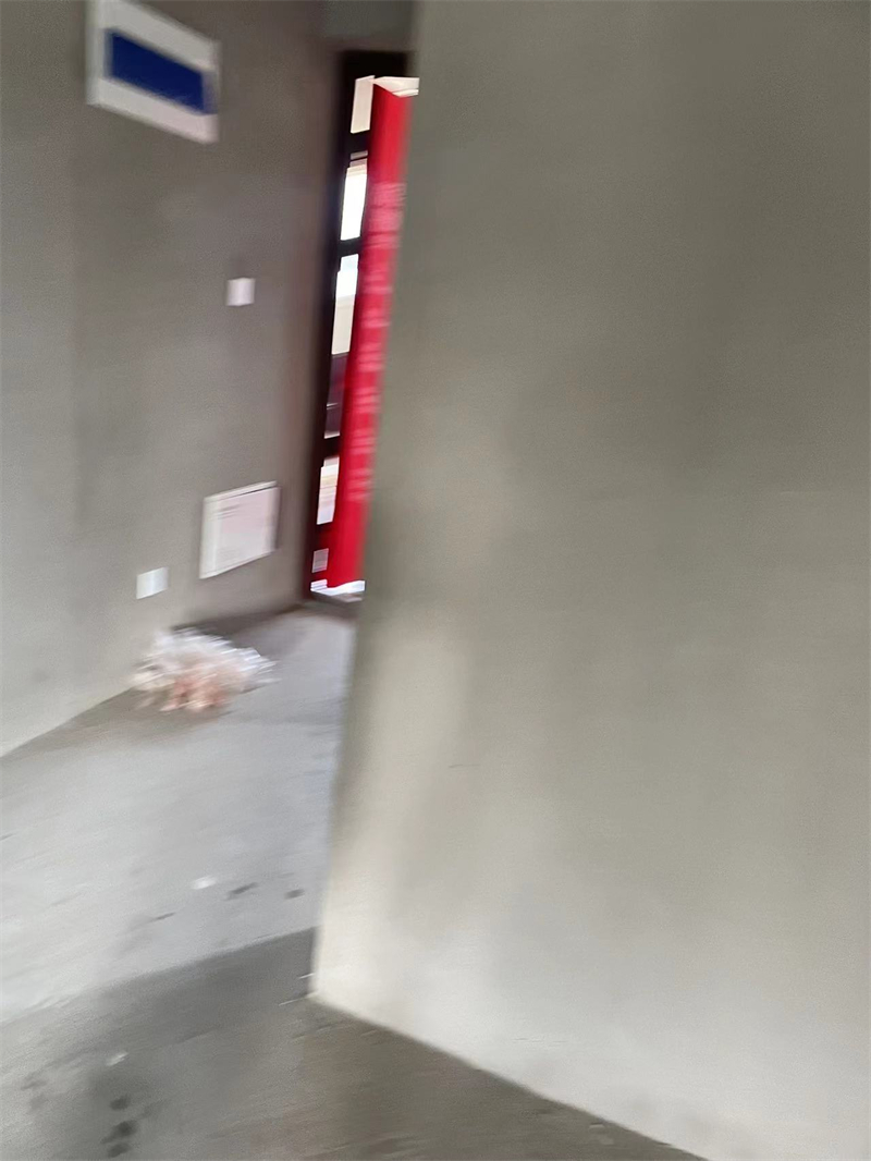 mmexport1726290448375.jpg