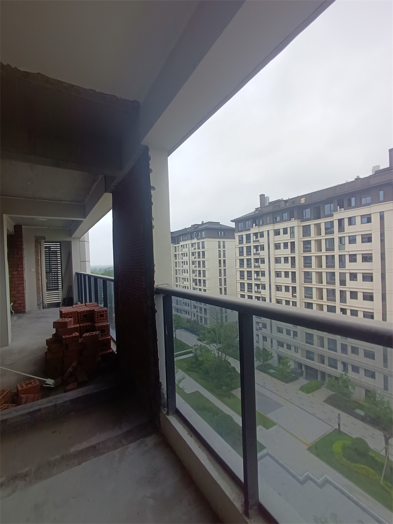 IMG_20240911_074652.jpg