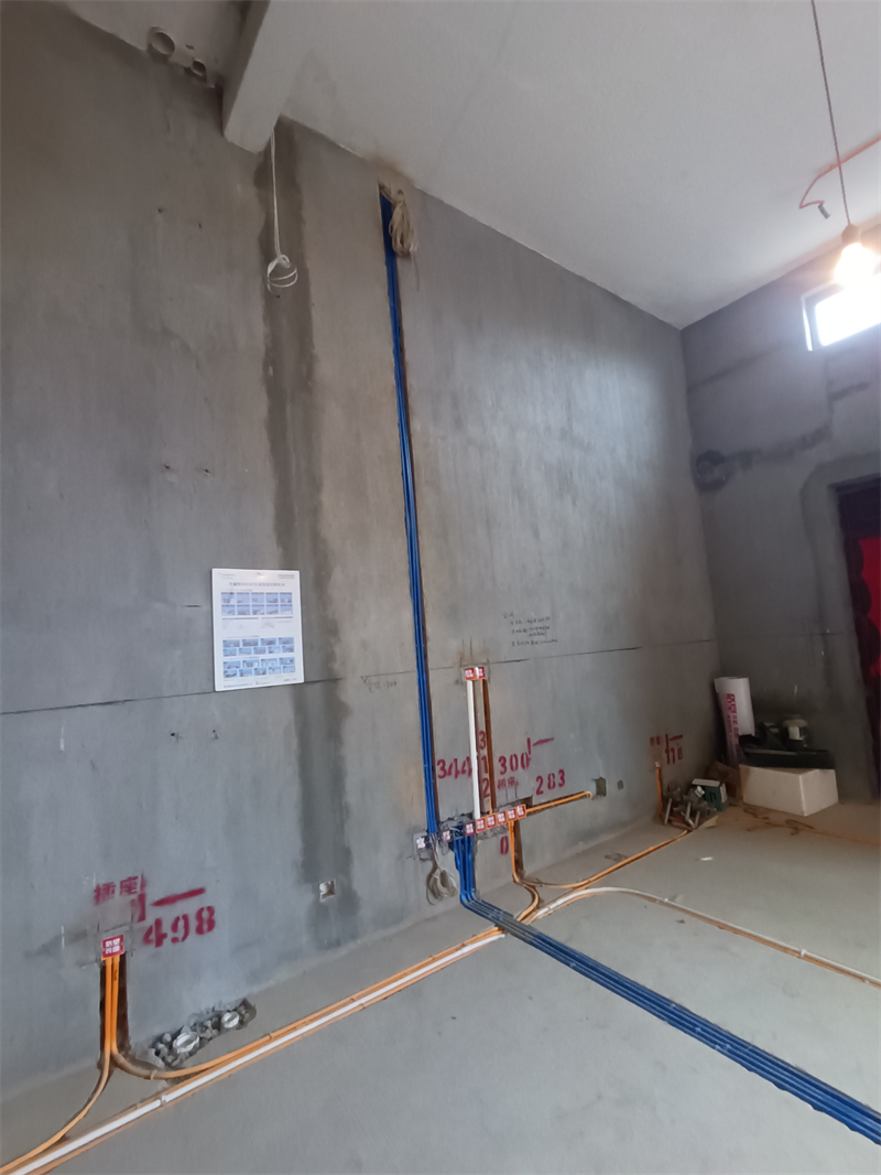 IMG_20240915_080249.jpg