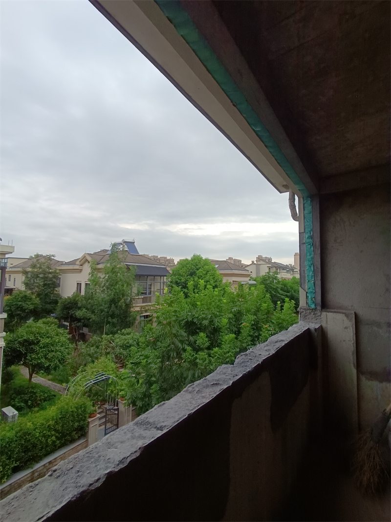 IMG_20240915_081651.jpg