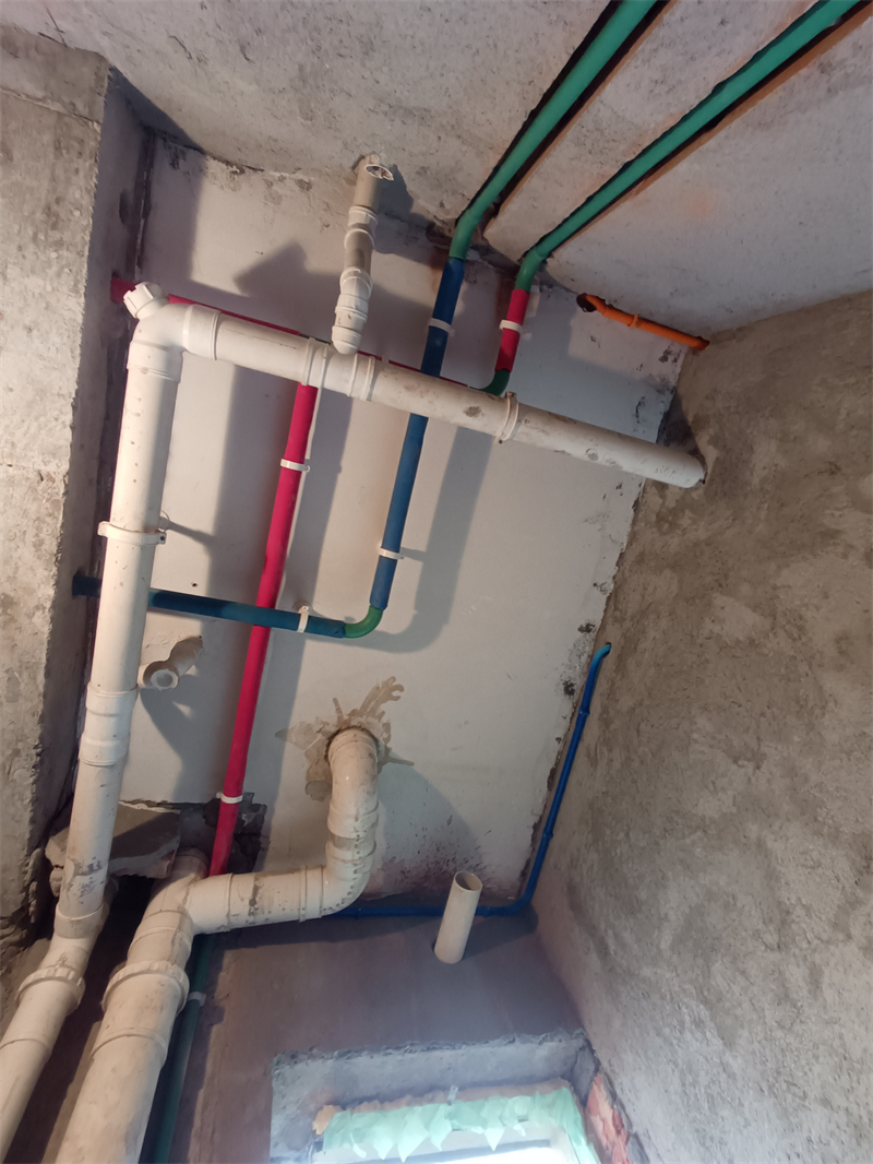 IMG_20240915_082504.jpg