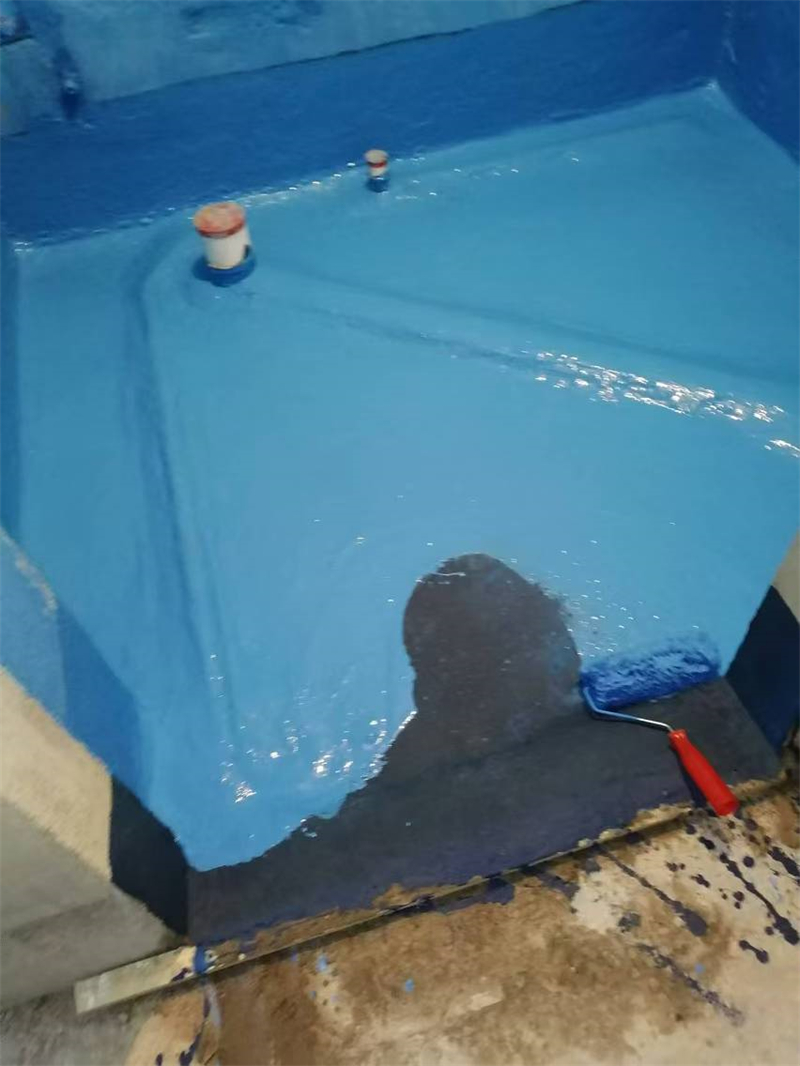 mmexport1726377321778.jpg