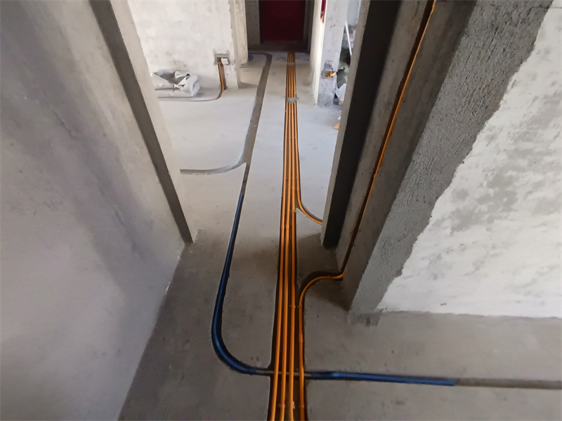 IMG_20240916_093118.jpg
