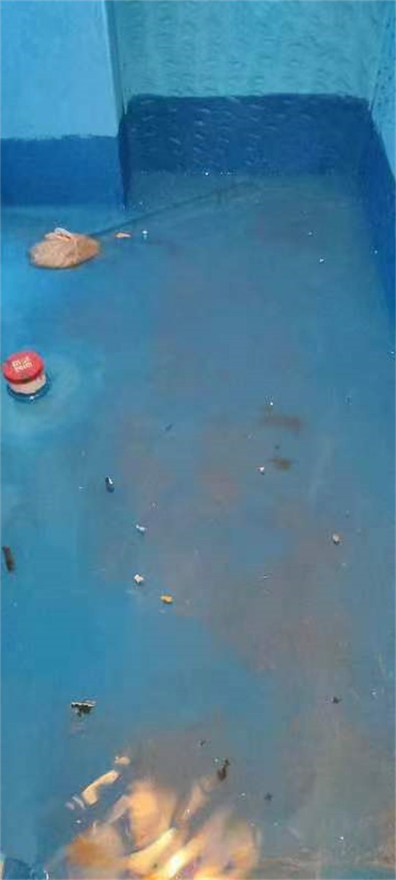 mmexport1726493038740.jpg