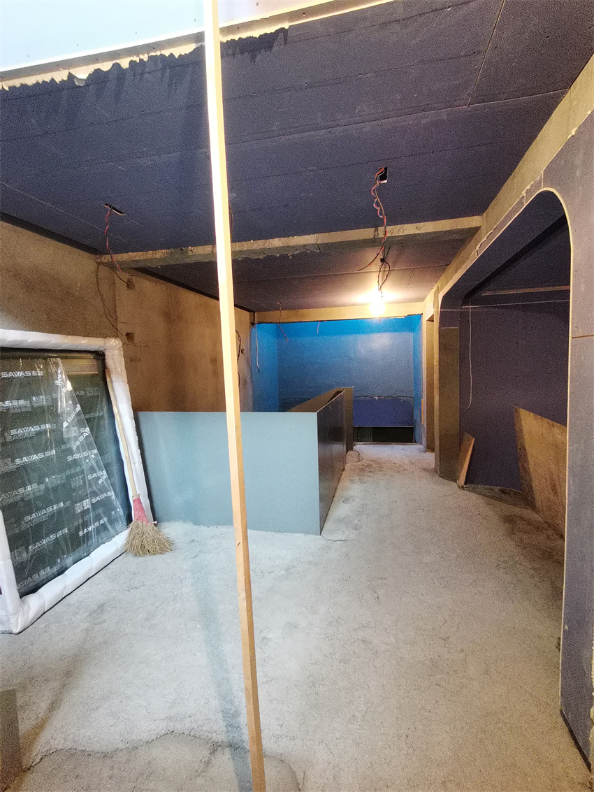 IMG_20240919_094448.jpg