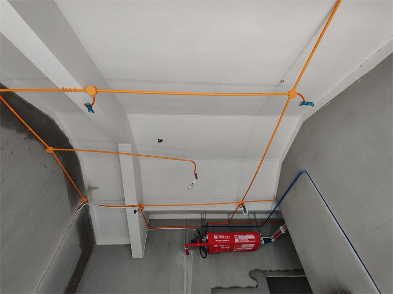 IMG_20240920_115928.jpg