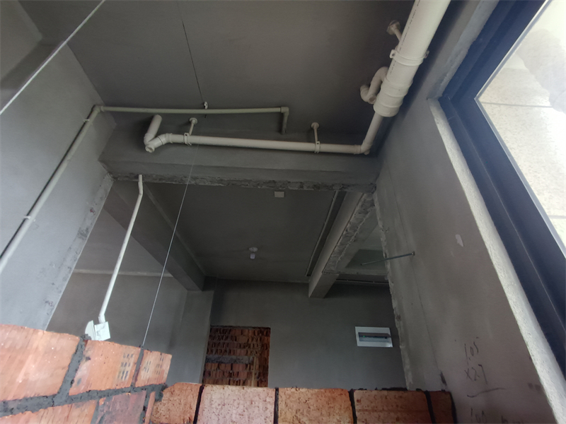 IMG_20240924_095406.jpg