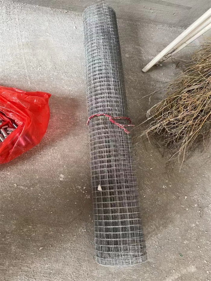 ΢��ͼƬ_20240926094736.jpg