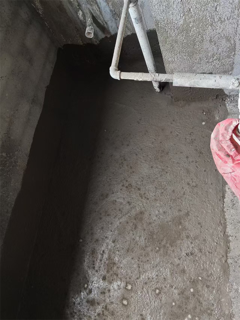 mmexport1727340758977.jpg