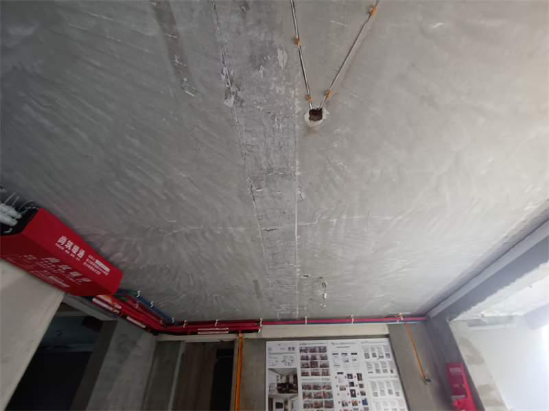 IMG_20240928_075556.jpg
