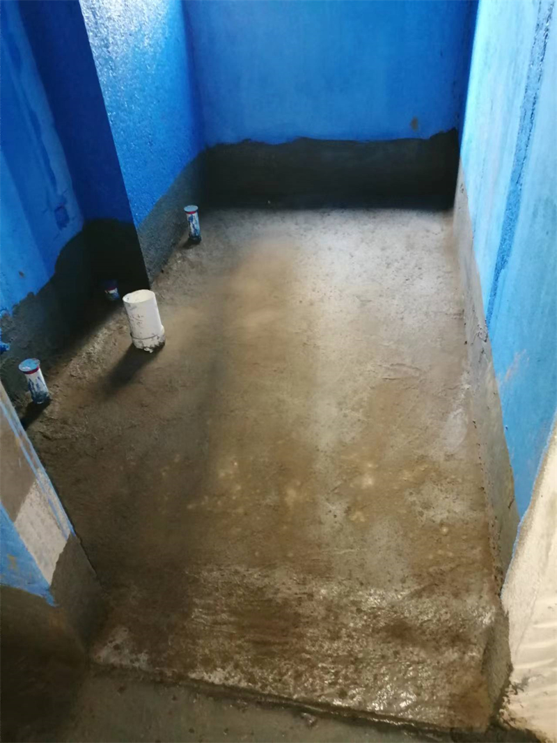 mmexport1727591818950.jpg