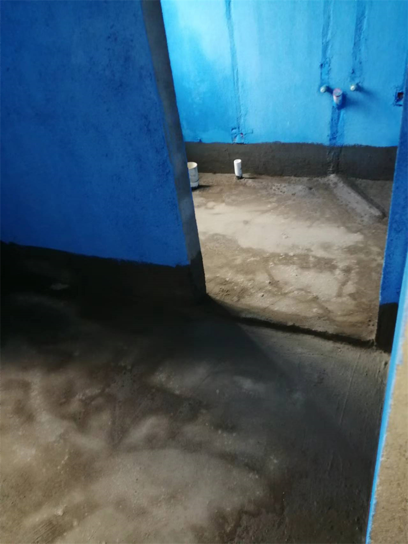 mmexport1727592307159.jpg