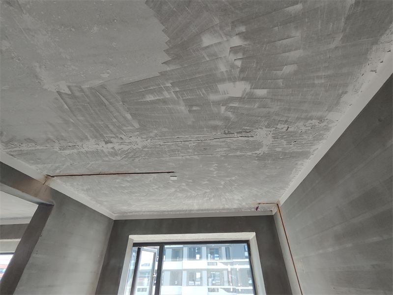 IMG_20240929_120457.jpg