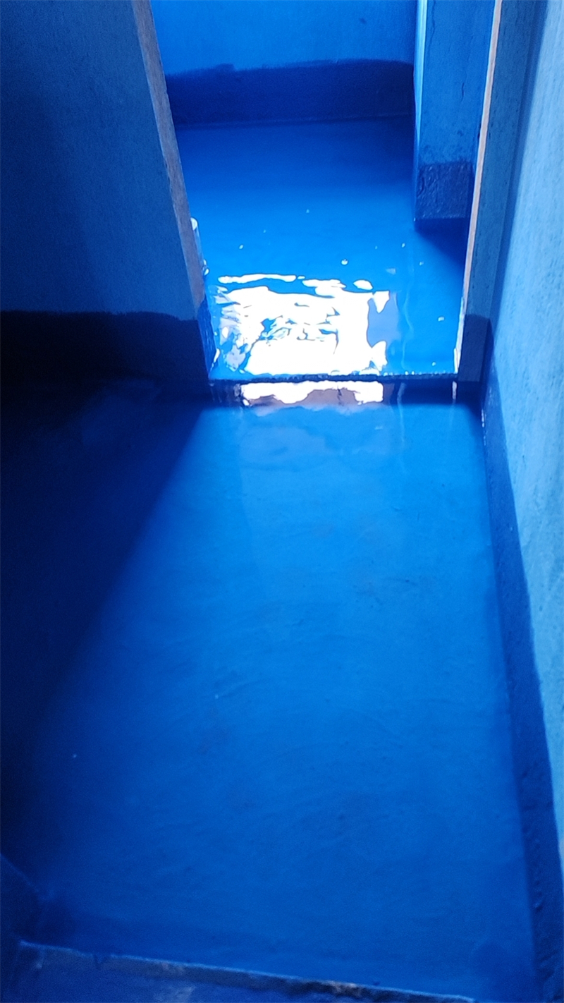 mmexport1727960455182.jpg