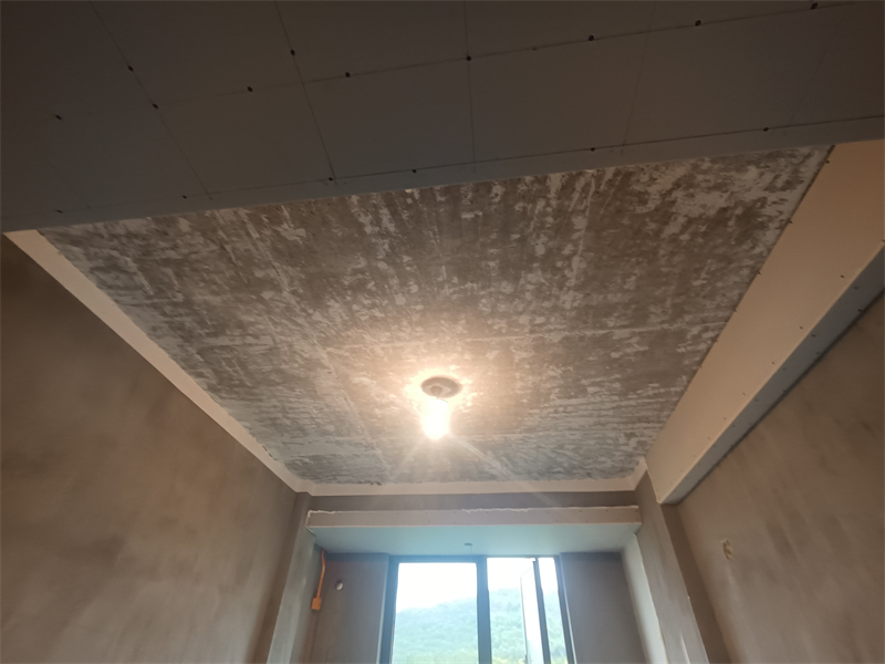 IMG_20241005_085907.jpg