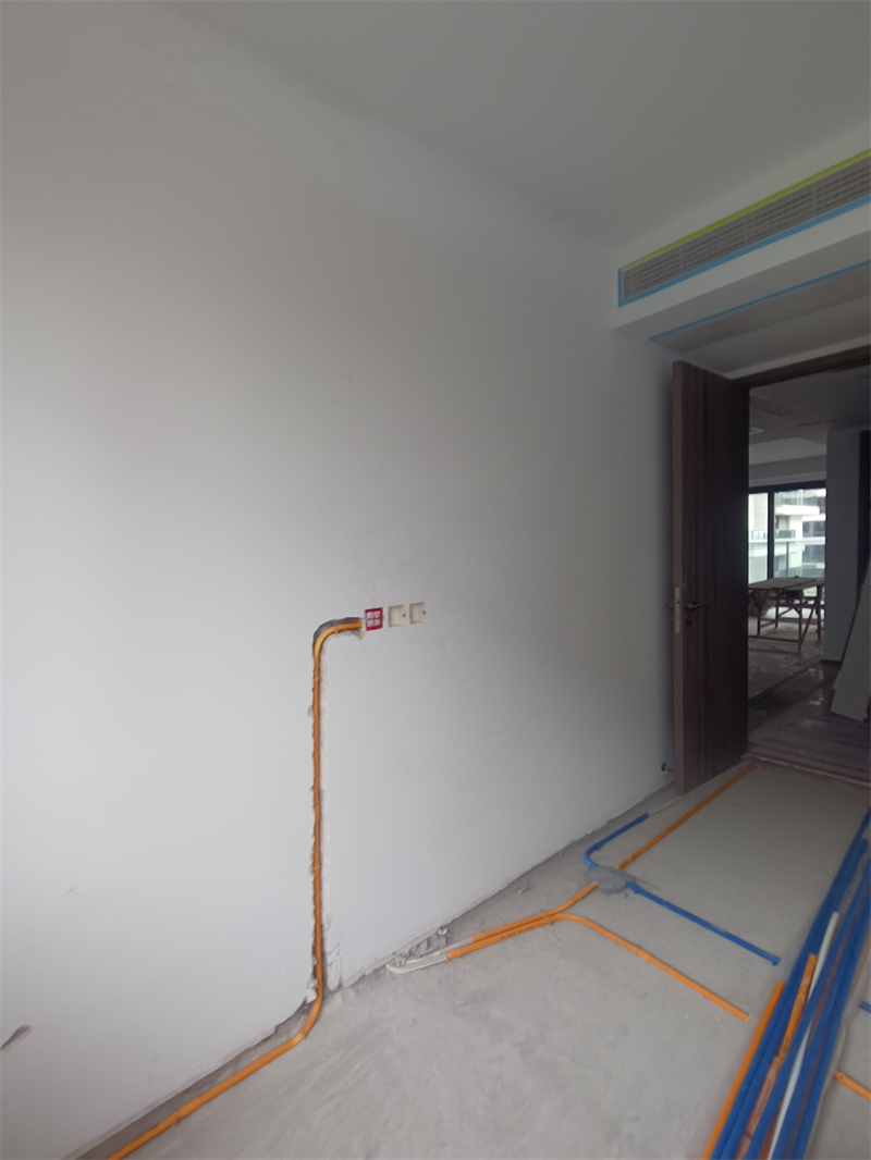 IMG_20241005_140816.jpg
