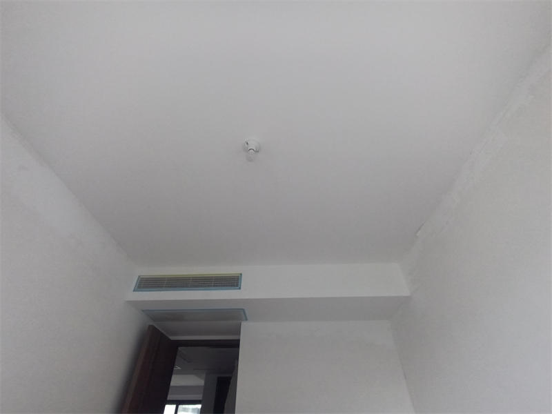 IMG_20241005_140810.jpg