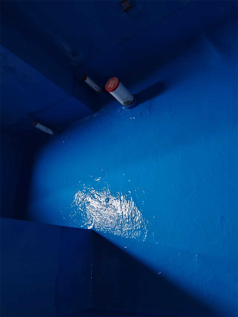 mmexport1728357174546.jpg